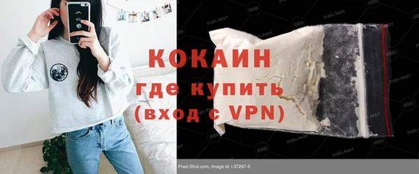 гашик Данков