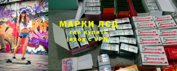 ПСИЛОЦИБИНОВЫЕ ГРИБЫ Кулебаки