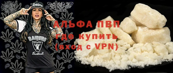 ПСИЛОЦИБИНОВЫЕ ГРИБЫ Кулебаки