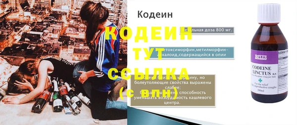 ПСИЛОЦИБИНОВЫЕ ГРИБЫ Кулебаки