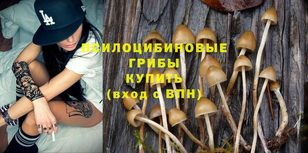молекула духа Лагань