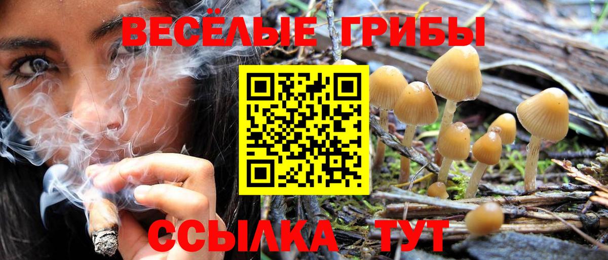 Псилоцибиновые грибы GOLDEN TEACHER Людиново