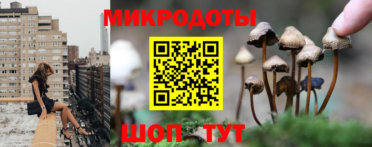 Людиново  Псилоцибиновые грибы ЛСД  Вход с VPN 